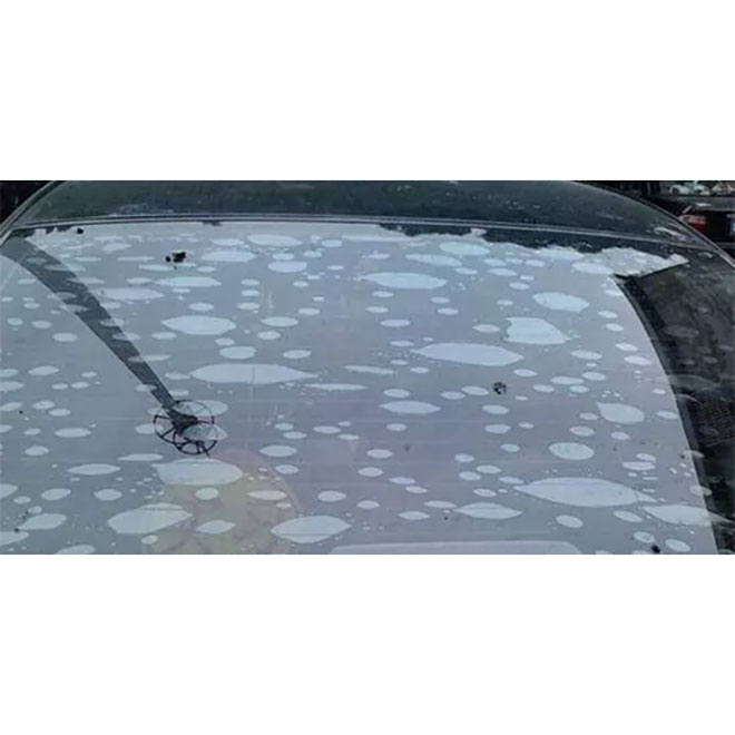 什么？ 太阳膜起泡？快撕掉重贴！